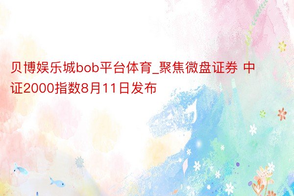 贝博娱乐城bob平台体育_聚焦微盘证券 中证2000指数8月11日发布