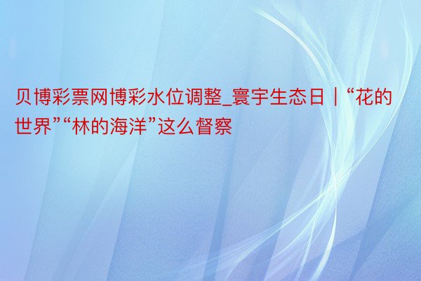 贝博彩票网博彩水位调整_寰宇生态日｜“花的世界”“林的海洋”这么督察