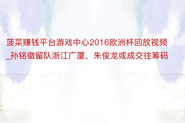 菠菜赚钱平台游戏中心2016欧洲杯回放视频_孙铭徽留队浙江广厦，朱俊龙或成交往筹码